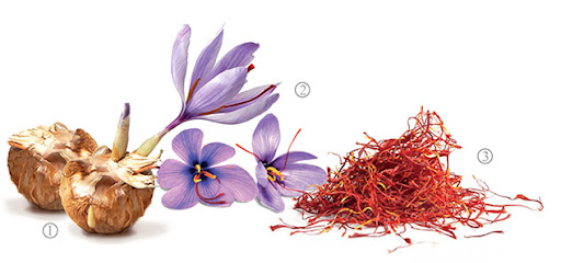 Acetreme Sdn Bhd (Saffron Malaysia), Kuala Lumpur