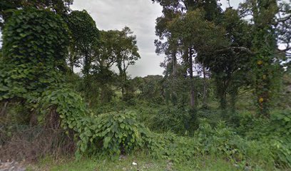 Digital Marketing Sarawak, Kuching