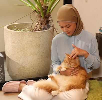PetCubes Malaysia, Wilayah Persekutuan Kuala Lumpur, Kuala Lumpur