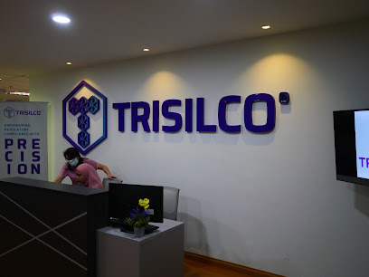 TRISILCO IT, Petaling Jaya