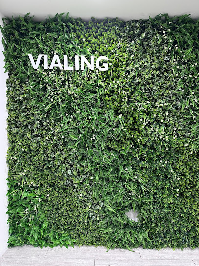 Vialing Sdn Bhd, Cyberjaya