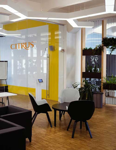 Website Design | Packaging Design | Printing Services - Citrus, Kuala Lumpur
